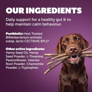 Protexin Daily Care Gut+ Calming, 60 postbiotic Dog Supplement Chews – Trout and Kale Flavored