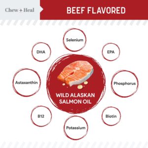 Pure Wild Alaskan Salmon Oil for Dogs - 16 oz. Beef Flavored Salmon Oil - Pump Cap Bottle - Contains Omega-3 and 6, EPA, and DHA for Healthy Skin and Coat - Toxin Free