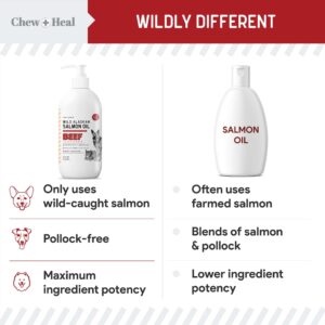 Pure Wild Alaskan Salmon Oil for Dogs - 16 oz. Beef Flavored Salmon Oil - Pump Cap Bottle - Contains Omega-3 and 6, EPA, and DHA for Healthy Skin and Coat - Toxin Free