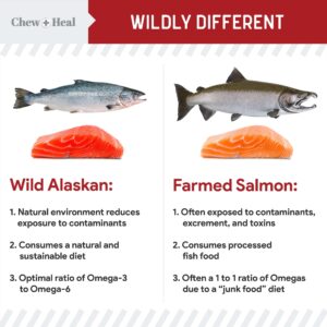 Pure Wild Alaskan Salmon Oil for Dogs - 16 oz. Beef Flavored Salmon Oil - Pump Cap Bottle - Contains Omega-3 and 6, EPA, and DHA for Healthy Skin and Coat - Toxin Free