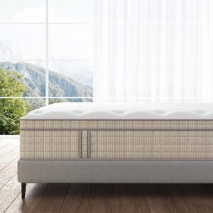 FLEXPEDIC Queen Size Mattress,14 Inch Memory Foam Hybrid Mattresses in a Box with Individual Pocket Spring,Khaki Mattres Breathable Comfortable for Sleep Supportive and Pressure Relief,CertiPUR-US