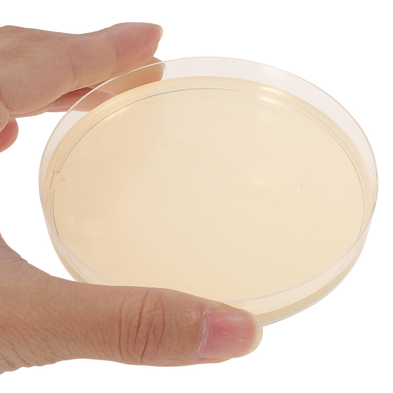 Totority Potato Dextrose Agar Petri Dishes - Prepoured Potato Dextrose Agar (PDA) - for Mushrooms, Home Test Kit, or for Science Fair Projects, Petri Dishes with Agar