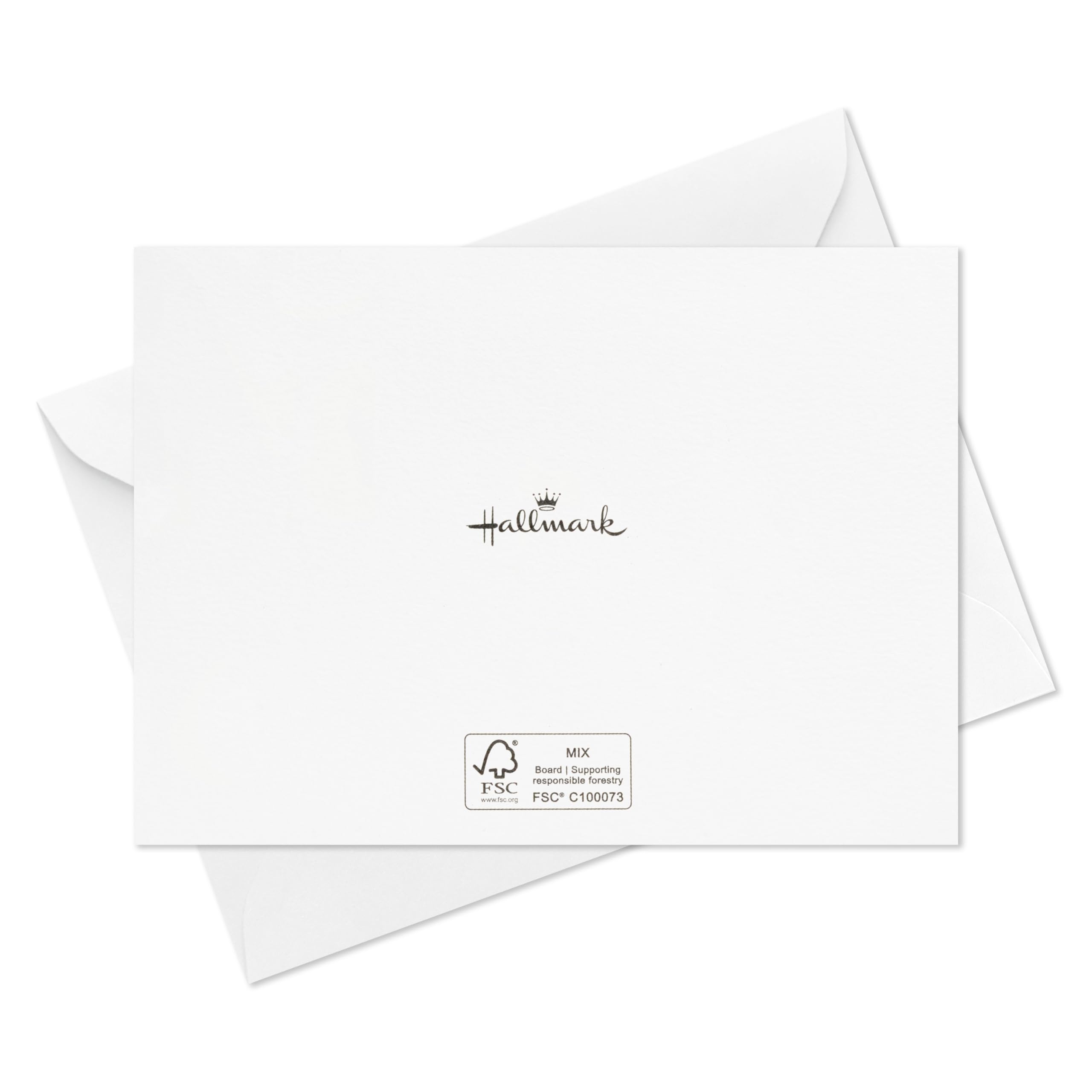 Hallmark Healthcare Thank You Card Pack (20 Blank Cards with Envelopes) for Nurses Day, Doctors, Physician Assistants, Medical Professionals