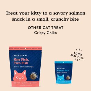 Bocce's Bakery, One Fish, Two Fish Crunchy Treats for Cats, Wheat-Free Everyday Cat Treats, Made with Limited-Ingredients, Baked in The USA, All-Natural Crunchy Treats, Salmon & Seaweed Recipe, 2 oz