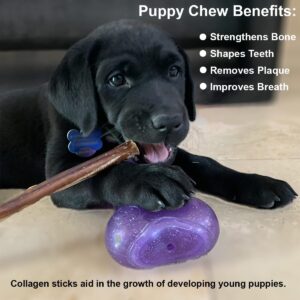 Puppy In Training Beef Collagen Sticks for Dogs, Bully Stick and Rawhide Alternative, All Natural, Teething Chew for Puppies, Low Odor, 6 in, 5 ct Pack