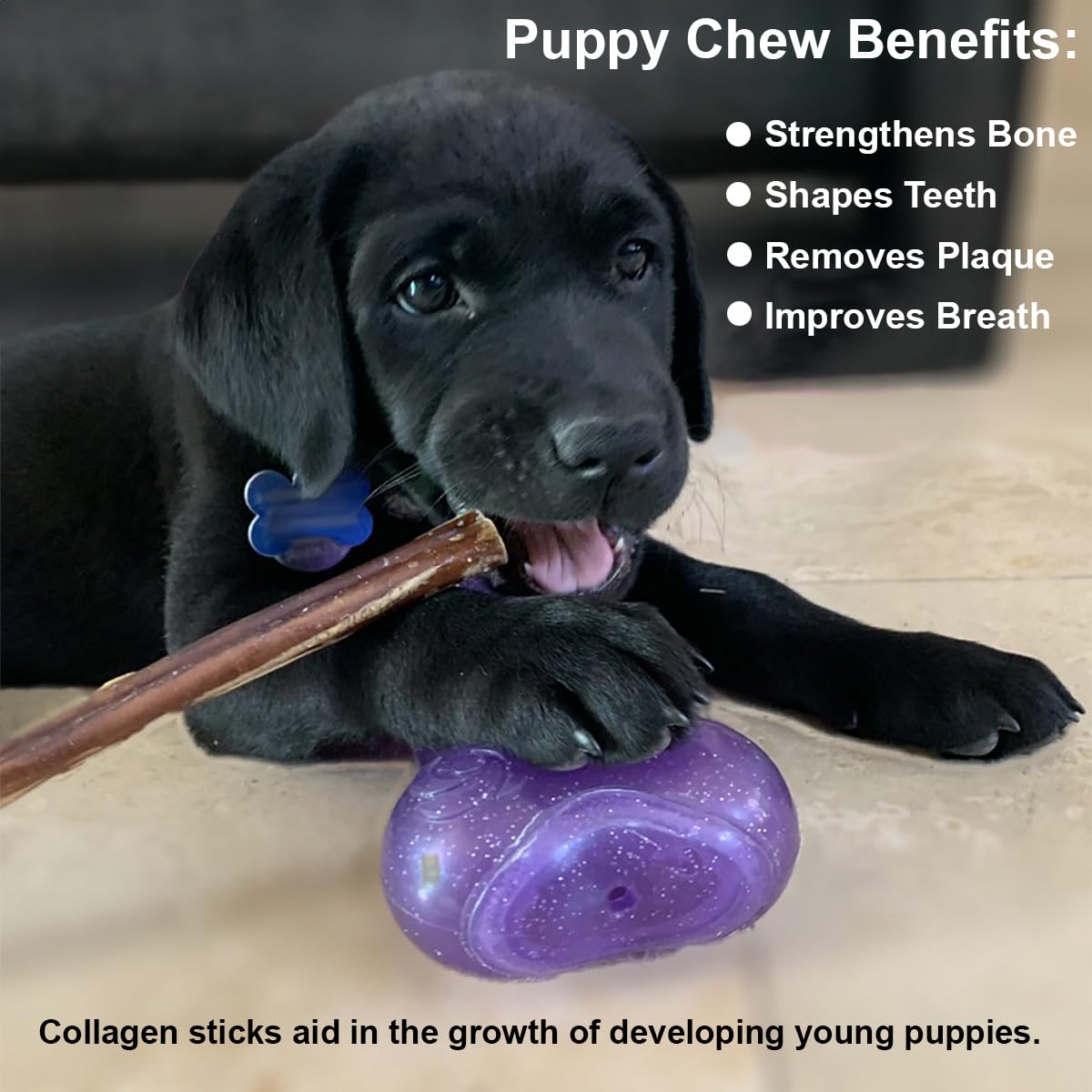 Puppy In Training Beef Collagen Sticks for Dogs, Bully Stick and Rawhide Alternative, All Natural, Teething Chew for Puppies, Low Odor, 6 in, 5 ct Pack