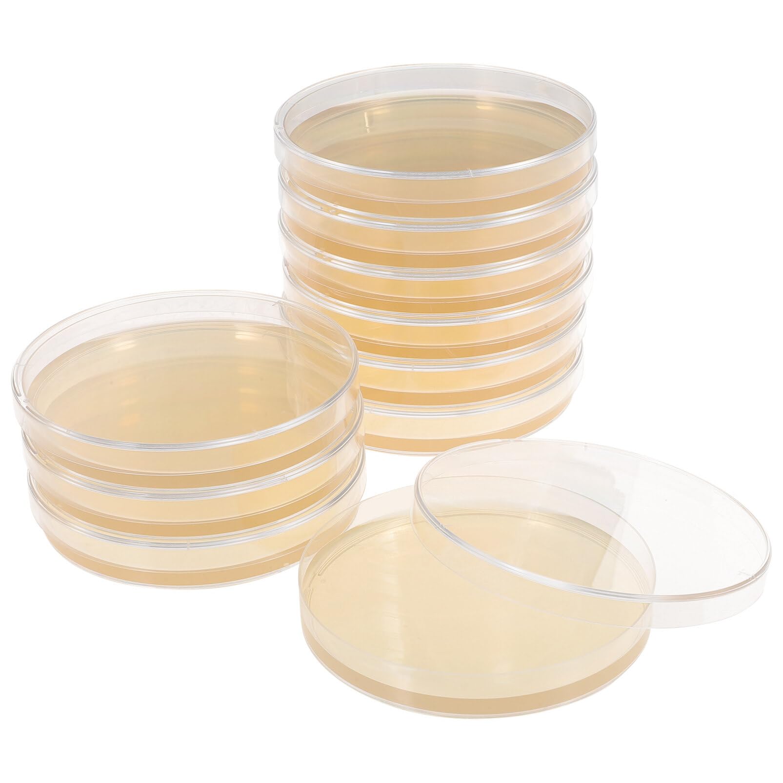 Totority Potato Dextrose Agar Petri Dishes - Prepoured Potato Dextrose Agar (PDA) - for Mushrooms, Home Test Kit, or for Science Fair Projects, Petri Dishes with Agar