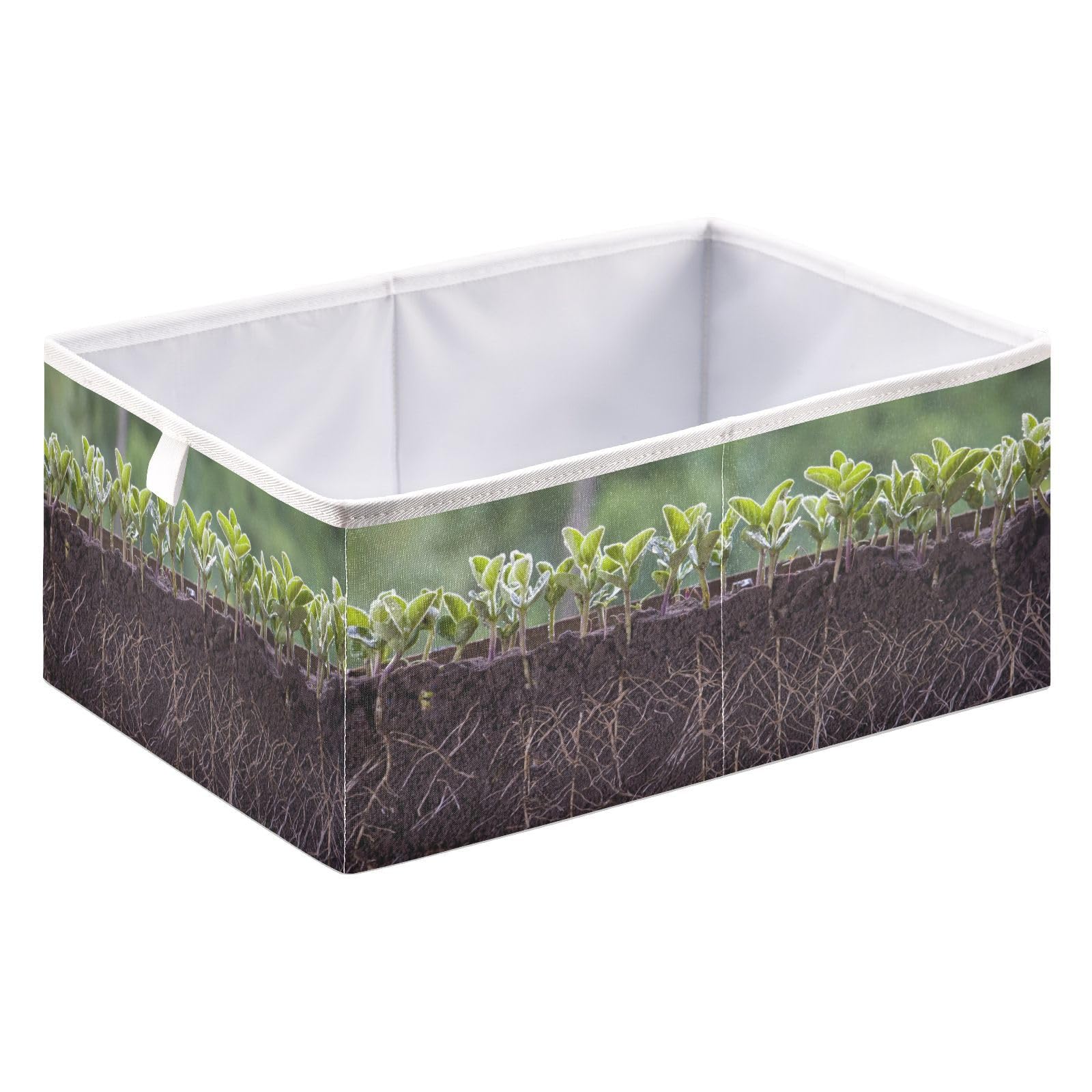 QUGRL Fresh Green Soybean Storage Bins Plants with Roots Foldable Storage Basket Fabric Storage Box Organizer for Clothes Toys Books Drawers Under Bed 15.75 x 10.63in