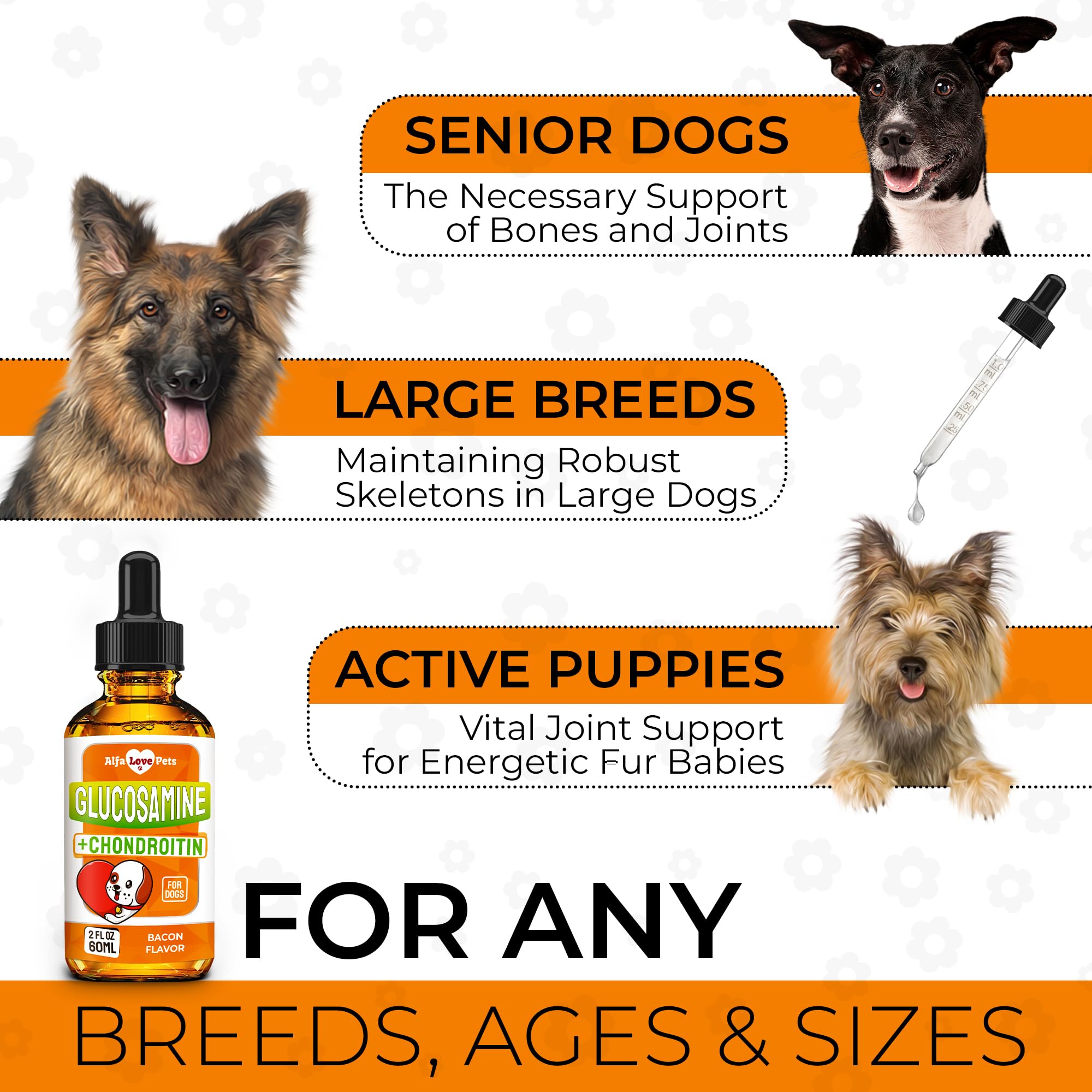 Glucosamine for Dogs ✿ Dog Joint Supplement ✿ Hip and Joint Supplement Dogs ✿ Glucosamine Chondroitin for Dogs ✿ Liquid Glucosamine for Dogs ✿ Glucosamine Chondroitin Dogs ✿ Bacon Flavor ✿ 2 Oz