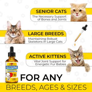 Cat Joint Supplement ✿ Glucosamine for Cats ✿ Joint Supplement for Cats ✿ Cat Glucosamine ✿ Chondroitin and Glucosamine Combination for Cats ✿ Cat Hip and Joint Supplements ✿ 2 Oz