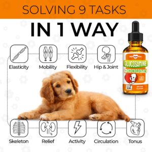 Glucosamine for Dogs ✿ Dog Joint Supplement ✿ Hip and Joint Supplement Dogs ✿ Glucosamine Chondroitin for Dogs ✿ Liquid Glucosamine for Dogs ✿ Glucosamine Chondroitin Dogs ✿ Bacon Flavor ✿ 2 Oz