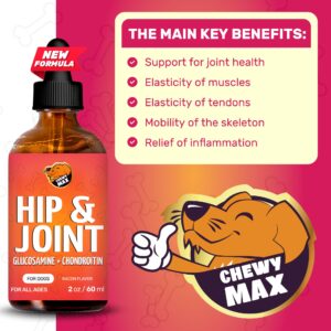 Glucosamine for Dogs | Hip and Joint Supplement Dogs | Dog Joint Supplement | Glucosamine Chondroitin for Dogs | Dog Glucosamine | Glucosamine for Dogs Hip and Joint Supplement | 2 Oz