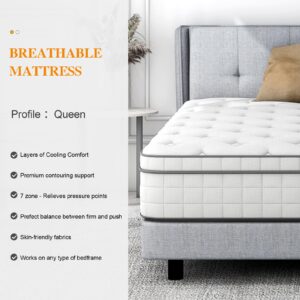 Gegcucey Queen Mattress, Innerspring Mattress with Breathable Foam and Pocket Spring for Motion Isolation, Medium Firm Hybrid Mattress in a Box (12 Inch, Queen (U.S. Standard))