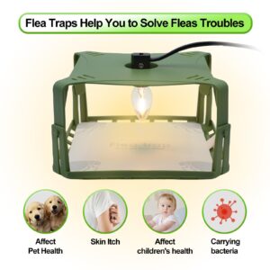 Flea Traps for Inside Your Home, Flea Killer Trap Indoor Natural Safe Pest Control Trapper House Sticky Insect Killer with Light & Switch Bed Bug Trap, Safe for Kid & Pet, 2 Packs Green