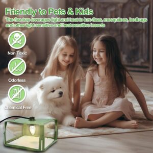 Flea Traps for Inside Your Home, Flea Killer Trap Indoor Natural Safe Pest Control Trapper House Sticky Insect Killer with Light & Switch Bed Bug Trap, Safe for Kid & Pet, 2 Packs Green