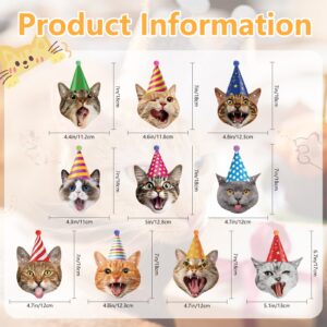 Cat Happy Birthday Banner Cat Birthday Party Decorations Cat Faces Birthday Banner Cat Decorations Banner Garland for Kids Girls Women Cat Birthday Party Supplies