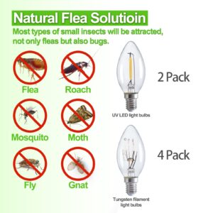 Flea Traps for Inside Your Home, Flea Killer Trap Indoor Natural Safe Pest Control Trapper House Sticky Insect Killer with Light & Switch Bed Bug Trap, Safe for Kid & Pet, 2 Packs Green