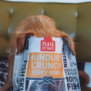 PLATO Hundur's Crunch Fish Dog Treats Variety Pack, (1) Fish Jerky Fingers 3.5oz and (1) Fish Jerky Minis 3.5oz, 7oz Total