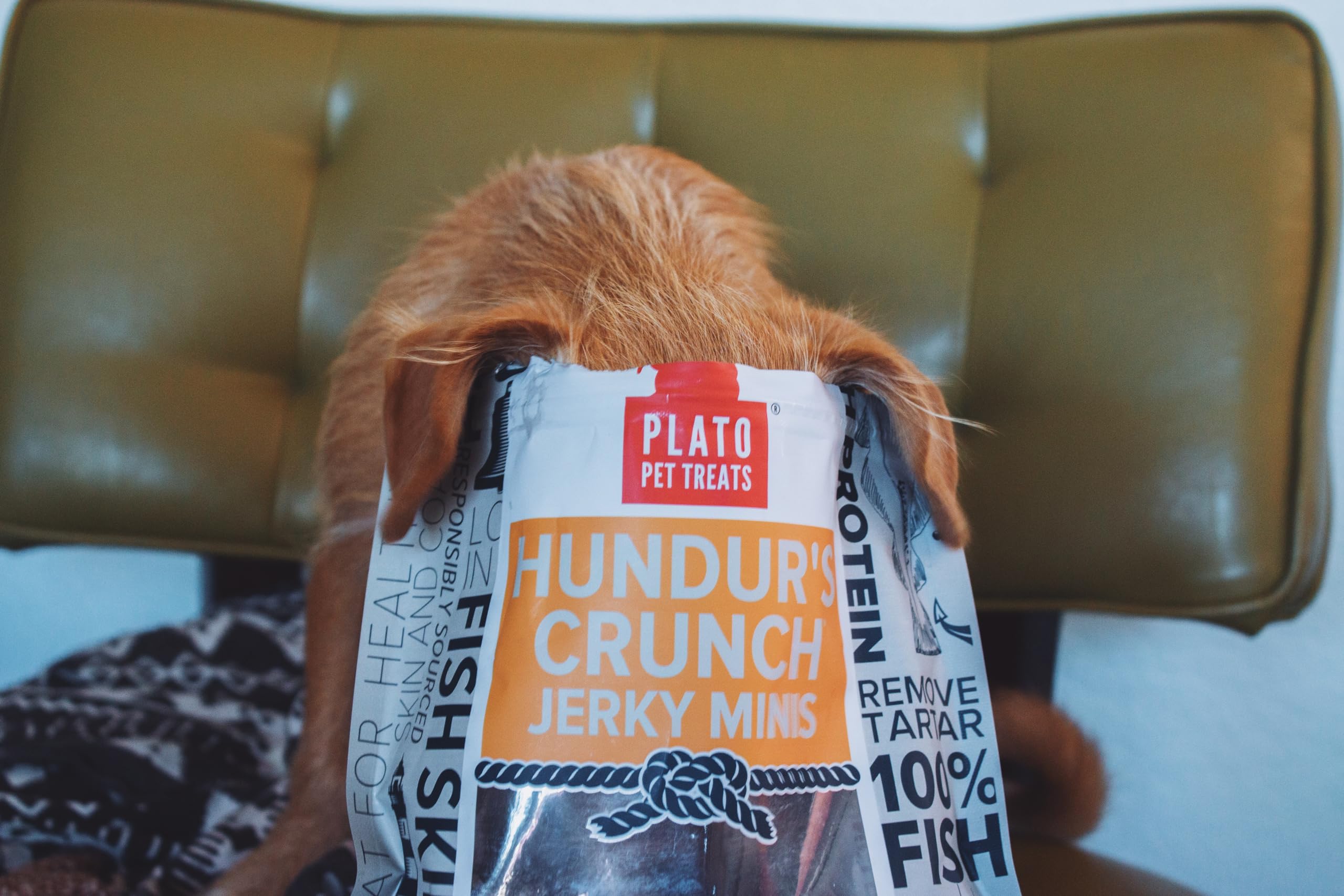 PLATO Hundur's Crunch Fish Dog Treats Variety Pack, (1) Fish Jerky Fingers 3.5oz and (1) Fish Jerky Minis 3.5oz, 7oz Total