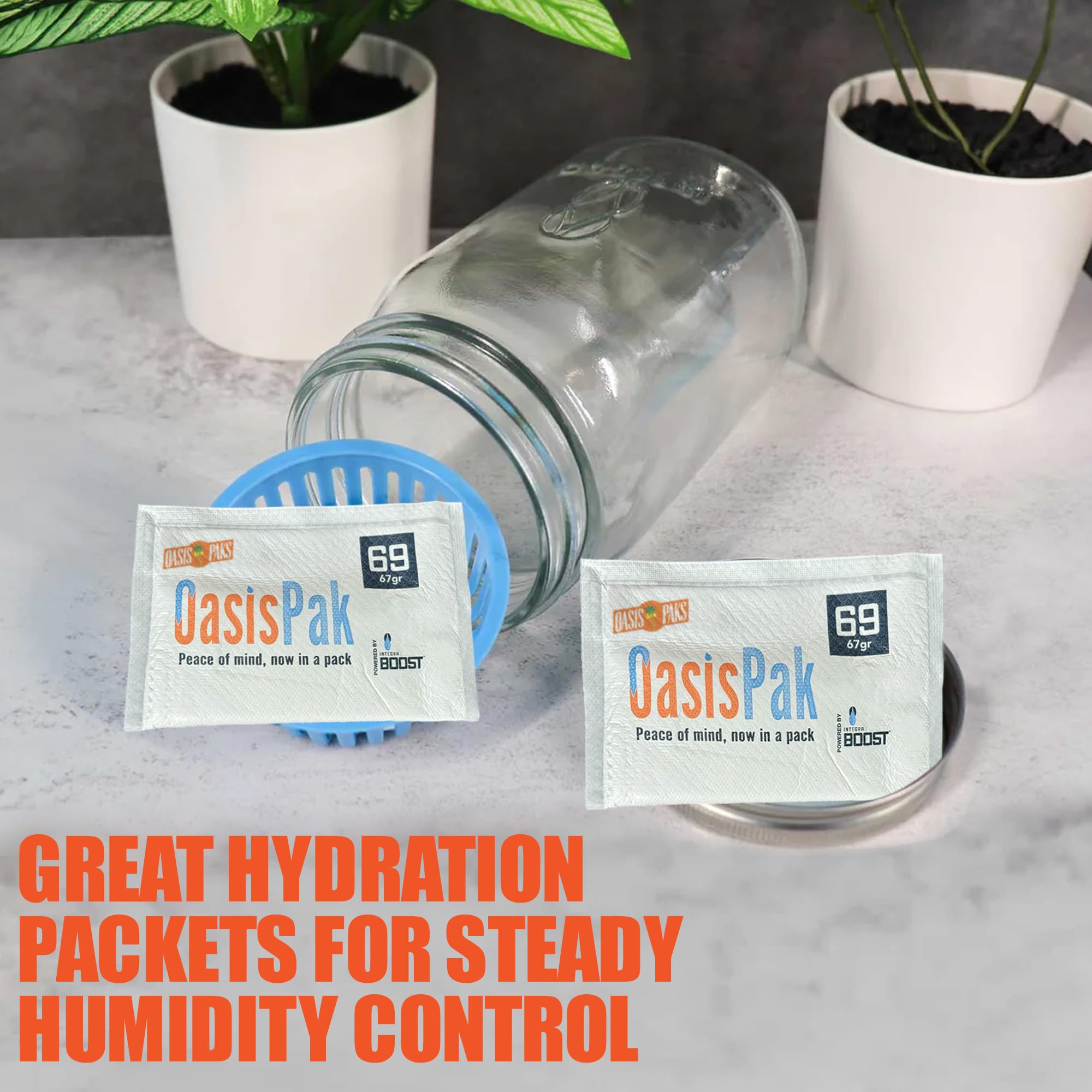 Oasis Pak Two-Way Humidity Packs - Ultimate Moisture Packs for Storage - Prevent Overdrying - Ideal Humidifier Packs & Hydration Packets - 67 Grams, 69% Humidity Level (Pack of 4)