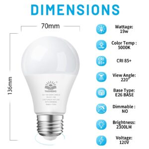 YAOHENG A21 LED Light Bulb, 150 Watt Equivalent LED Bulbs, 19W 5000K Daylight, 2300 Lumens, Non-Dimmable, E26 Base, Super Bright Light Bulb Indoor, Energy Efficient ETL Listed, 4-Pack