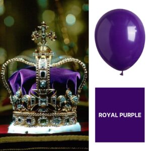 PartyWoo Royal Purple Balloons, 101 pcs 12 Inch Purple Balloons, Dark Purple Balloons for Balloon Garland Balloon Arch as Party Decorations, Wedding Decorations, Baby Shower Decorations, Purple-Y16