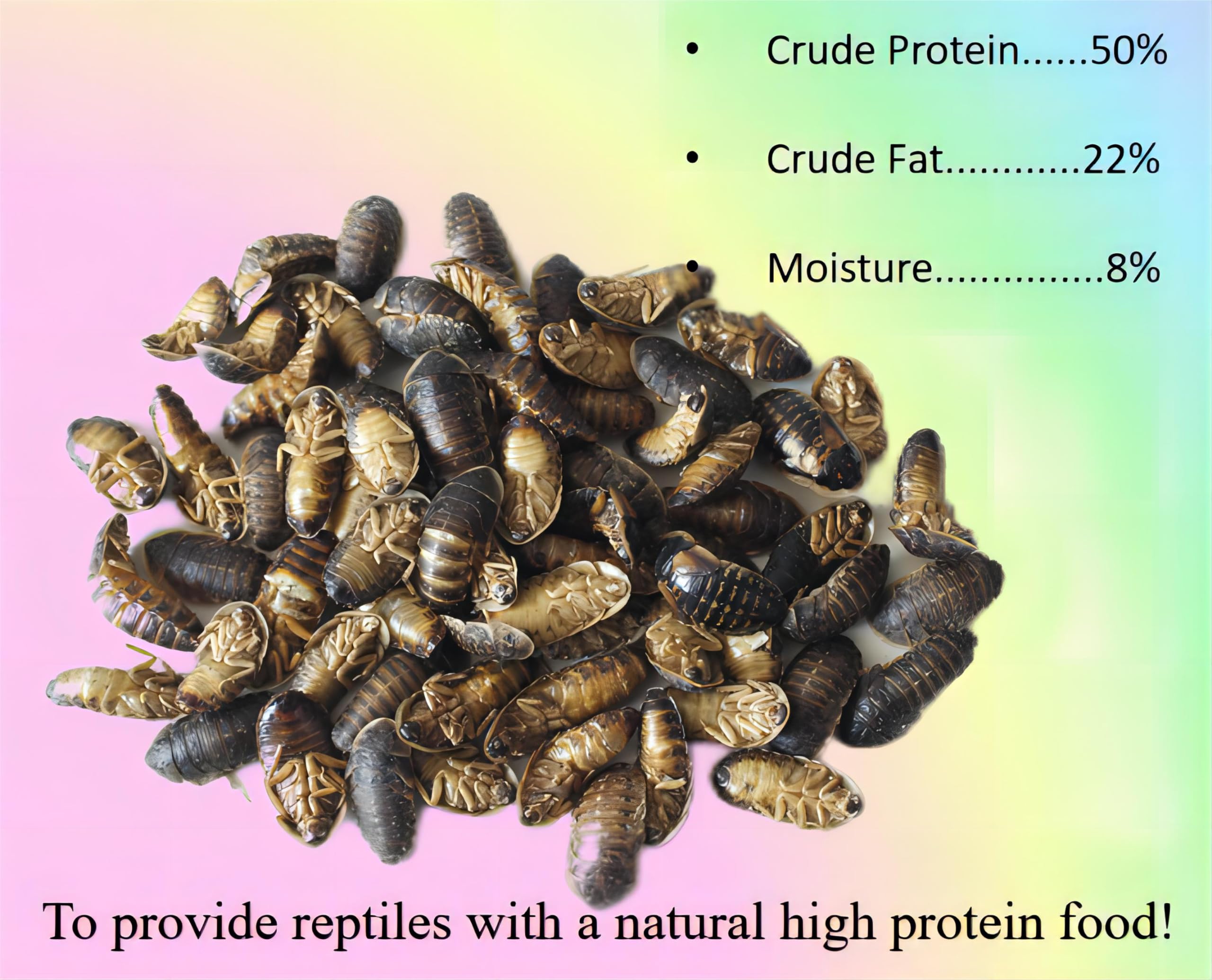 Classic Flock 2oz Freeze-Dried Dubia - High Protein Reptile & Amphibian Food