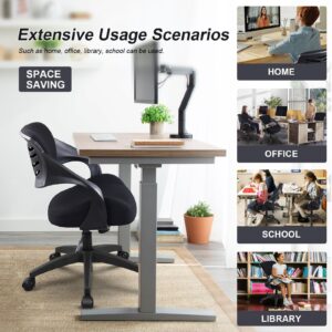 BOJUZIJA Ergonomic Office Computer Desk Chair,Lumbar Support 360°Swivel Task Chair-Black