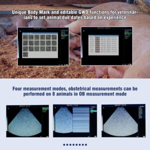 Portable Ultrasound Machine for Pregnancy, Easy to Use Handheld Ultrasound Scanner with 3.5 MHz Probe for Pigs, Sows, Goats and Sheep Pregnancies