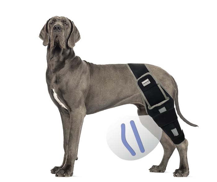 WENQUSEN Dog Leg Support - for Leg Wounds After Surgery for Ligament tears, with Support Strips to Protect The Dog's Leg Wounds. Breathable and Comfortable (L)