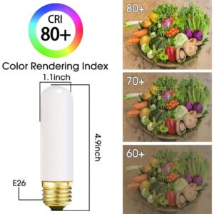 SCOMX 25 Watt T10 Frost Tubular Incandescent Light Bulb, Showcase Lamp, 2700K Soft White, E26 Medium Base, 280 Lumens, 120V (6)