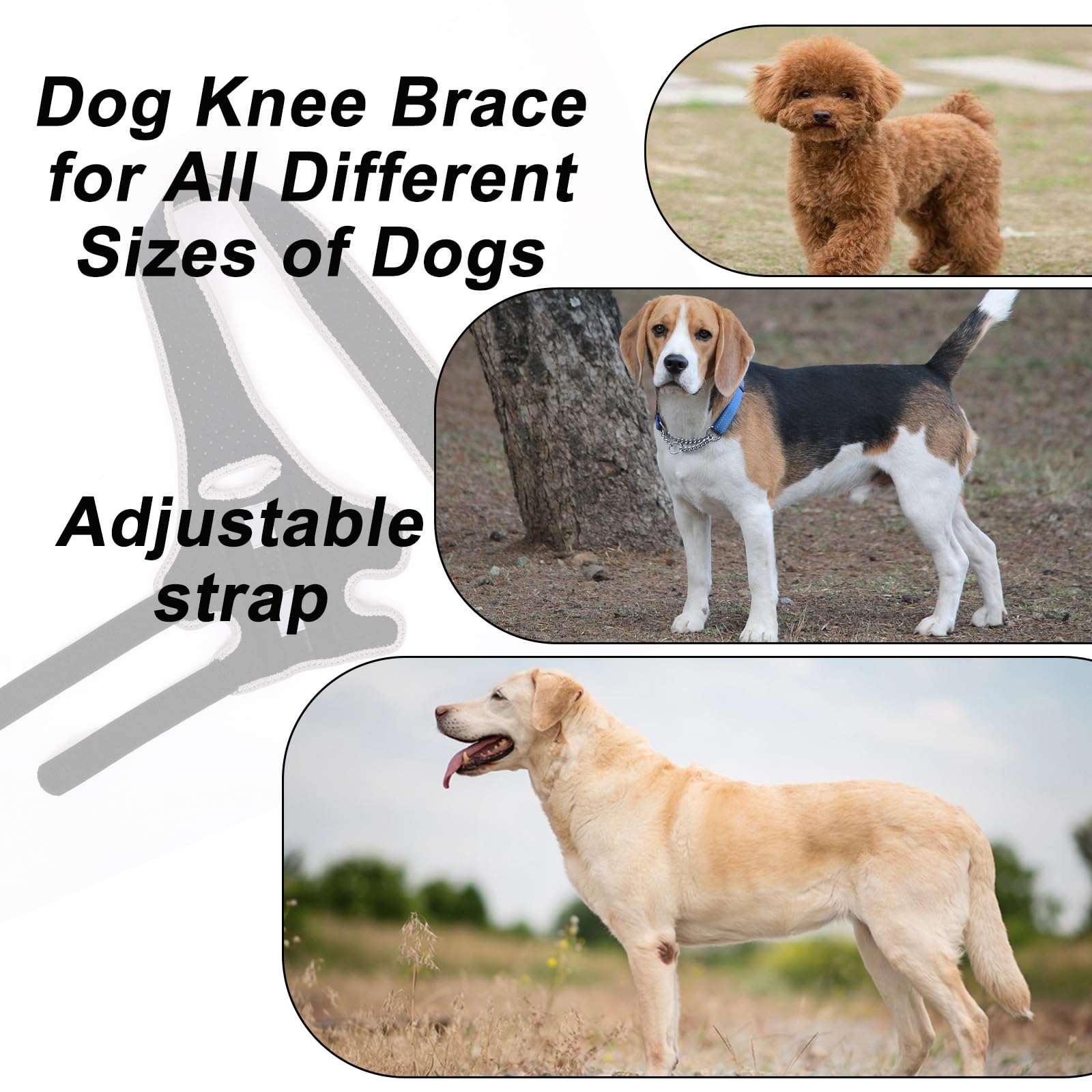 WENQUSEN Dog Leg Support - for Leg Wounds After Surgery for Ligament tears, with Support Strips to Protect The Dog's Leg Wounds. Breathable and Comfortable (L)