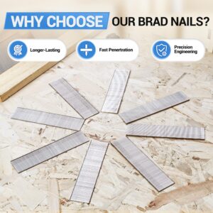 meite 18 Gauge Stainless Steel Brad Nails, 1-1/2 Inch 18GA Brad Nails, 304 Stainless Steel Small Finishing Nail Gun Nails for Pneumatic, Electric Brad Nailer Gun (2,000 Counts)