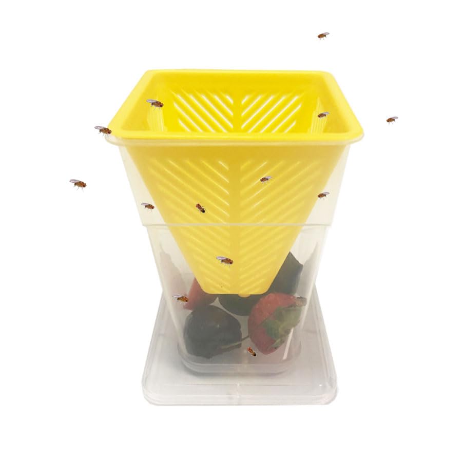 Voltup Fruit Fly Trap for Indoors Reusable with Sticky Pads Non-Toxic Funnel Fruit Fly Catcher Safe for Pets in House and Kitchen Easy to Use and Controls Fruit Flies with Natural Lure 4PCs