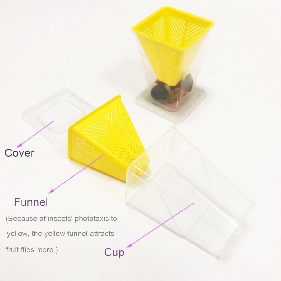 Voltup Fruit Fly Trap for Indoors Reusable with Sticky Pads Non-Toxic Funnel Fruit Fly Catcher Safe for Pets in House and Kitchen Easy to Use and Controls Fruit Flies with Natural Lure 4PCs