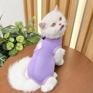 Yoolhamy Cat Recovery Suit for Post After Surgery, Elizabethan Collar & Cone Alternative, Anti-Licking Wound for Abdominal Wounds or Skin Diseases Kitten Bodysuit (Purple, L)