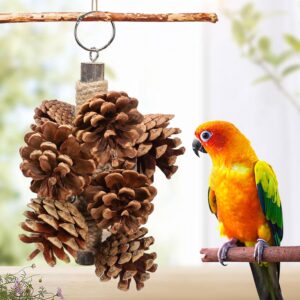 acostop bird toys parrot toys - bird chewing toy with natural pine cones for small and medium-sized parakeets cockatiels conures cockatoos african grey amazon parrots birdlovers gifts