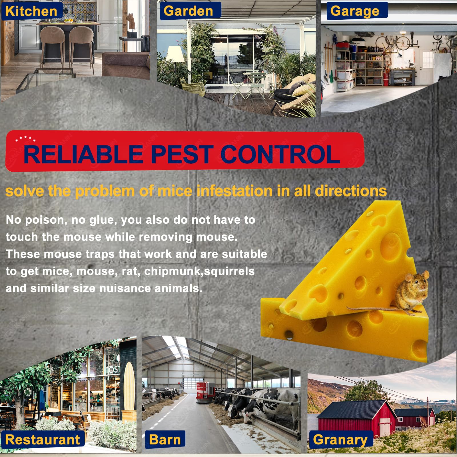 CANAANIN 𝐋𝐚𝐫𝐠𝐞 𝐑𝐚𝐭 𝐓𝐫𝐚𝐩𝐬 𝐌𝐨𝐮𝐬𝐞 𝐓𝐫𝐚𝐩𝐬 Indoor Outdoor 𝐒𝐧𝐚𝐩 𝐓𝐫𝐚𝐩 for Gophers 𝐂𝐡𝐢𝐩𝐦𝐮𝐧𝐤 𝐓𝐫𝐚𝐩 That Work Quick Effective Safe for Rodents Mouse Chipmunk 6 Pack