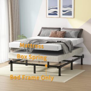 Superay Metal Bed Frame, 9-Leg Bed Base, 8 inches Support for Box Spring and Mattress Set, Queen, Easy Assembly, Black