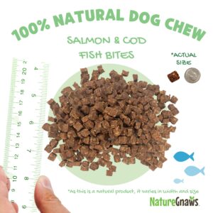 Nature Gnaws Fish Bites for Dogs - Natural Dog Treats – Premium Cod & Salmon Chewy Training Reward – 1 Lb