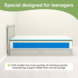 pareler bear Teenager 8 inch Queen Mattress, Edge Hardening to Prevent Slipping, Medium Firm Hybrid Mattress, Pocket Innerspring for Motion Isolation, 100% Pure Cotton Fabric Cover