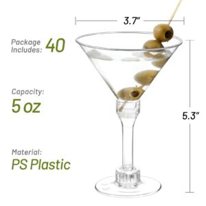 Qeirudu 40 Pack Plastic Martini Glasses, 5 oz Disposable Cocktail Glasses for Party Wine, Margarita, Champagne, Appetizers, Desserts