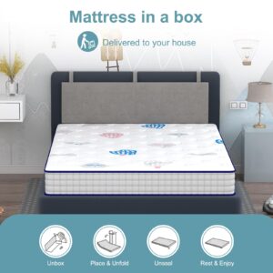 pareler bear Twin Mattress for Kids, 8" Edge Hardening to Prevent Slipping, Hybrid Mattress, Pocket Innerspring for Motion Isolation, Breathable Cover with High Density Memory Foam