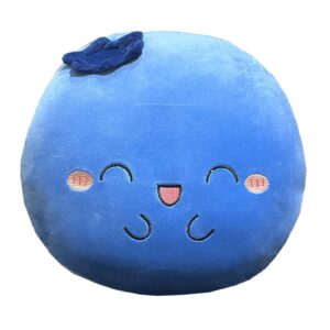 goylmc blueberry plush pillow, fruit stuffed animal, food plush pillow with hand pocket, gift for kids adults (12.9 * 12.2in)