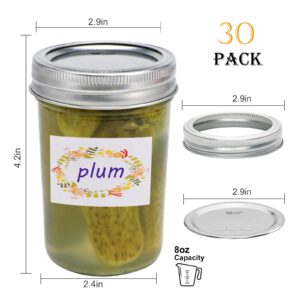 Woaiwo-q Mason Jars 8 oz Regular Mouth,30 Pack Canning Jars Jelly Jars With Airtight Lids, Ideal for Jam/Honey/DIY Projects/Wedding Favors/Shower Favors