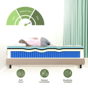 pareler bear Teenager 8 inch Queen Mattress, Edge Hardening to Prevent Slipping, Medium Firm Hybrid Mattress, Pocket Innerspring for Motion Isolation, 100% Pure Cotton Fabric Cover