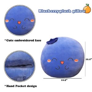 Goylmc Blueberry Plush Pillow, Fruit Stuffed Animal, Food Plush Pillow with Hand Pocket, Gift for Kids Adults (12.9 * 12.2in)