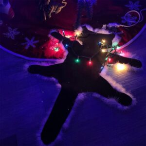 Quixal Light Up Fried Cat Rug - Funny Christmas Decorations, USB-Powered Lights, Always On or Flashing, National Lampoon's Style