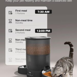 Automatic Cat Feeder for 2 Cats, 3L Cat Food Dispenser SURDY Auto Cat Feeder with 2 Stainless Bowls, 10s Meal Call Dual Power Supply and Timer Setting 12 Portions 6 Meals Per Day for Cats and Dogs