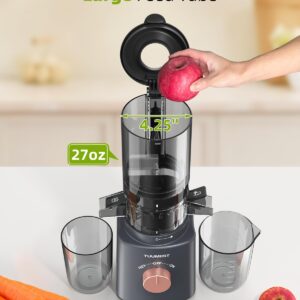 Cold Press Juicer with 8 Juice Bottles - Masticating Juicer Machines for Fruits and Veggies, 4.25" Large Feed Chute, Easy to Clean